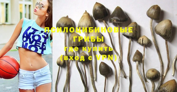 прущий лед Кукмор