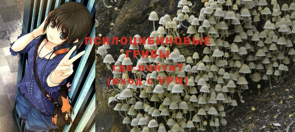 мяу мяу мука Красноперекопск