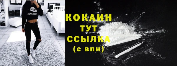 круглые Корсаков