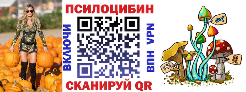 Купить  Ершов  Галлюциногенные грибы мухоморы 